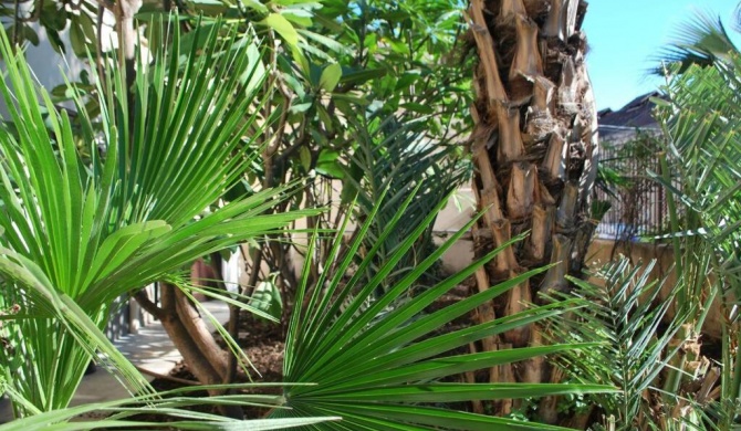 casa immersa nel verde al centro di Palermo