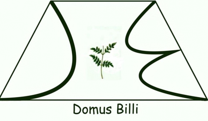 Domus Billi